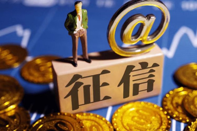 極客查-支持個(gè)人大數(shù)據(jù)征信查詢！