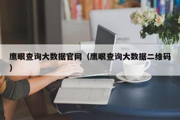 鷹眼查詢?nèi)绾尾樵兇髷?shù)據(jù)？使用說明書