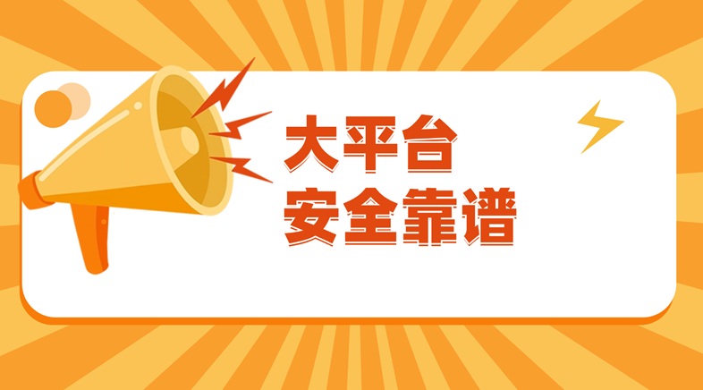 閃電助手大數(shù)據(jù)信用查詢軟件：三重安全防護+智能風控體系，讓每一次信用查詢都安心無憂！